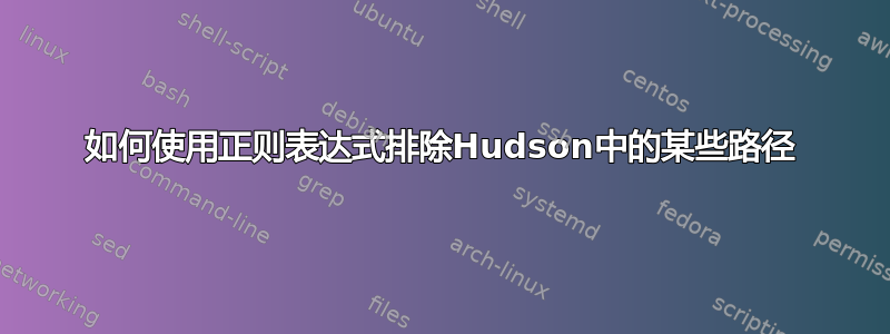 如何使用正则表达式排除Hudson中的某些路径