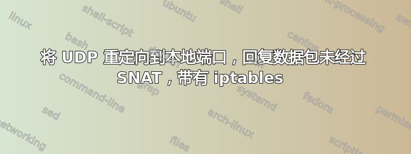 将 UDP 重定向到本地端口，回复数据包未经过 SNAT，带有 iptables 