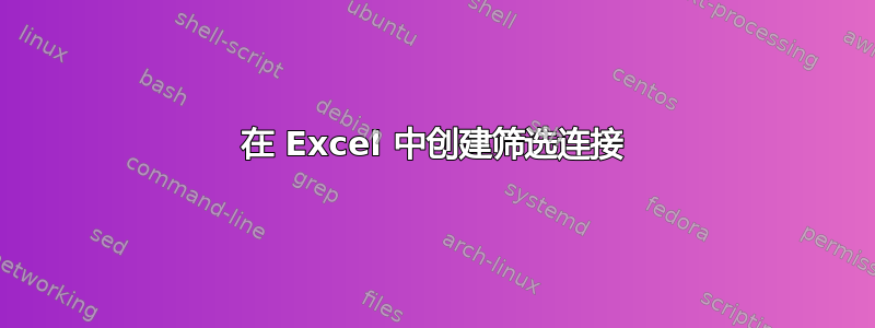 在 Excel 中创建筛选连接