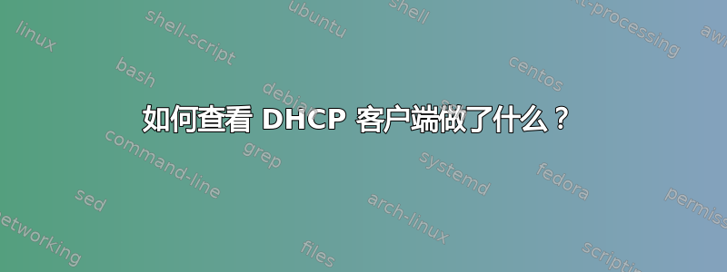 如何查看 DHCP 客户端做了什么？