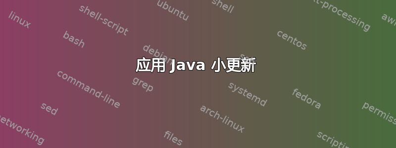 应用 Java 小更新