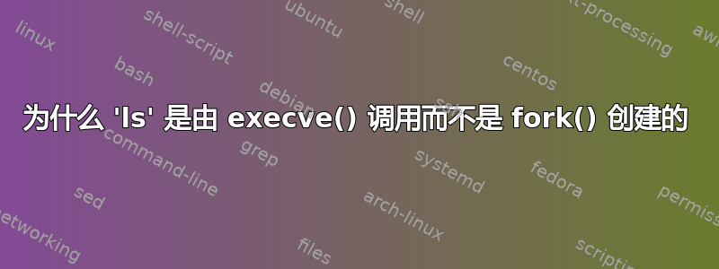 为什么 'ls' 是由 execve() 调用而不是 fork() 创建的