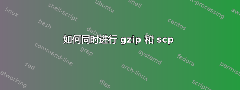 如何同时进行 gzip 和 scp