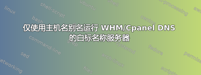 仅使用主机名别名运行 WHM/Cpanel DNS 的白标名称服务器