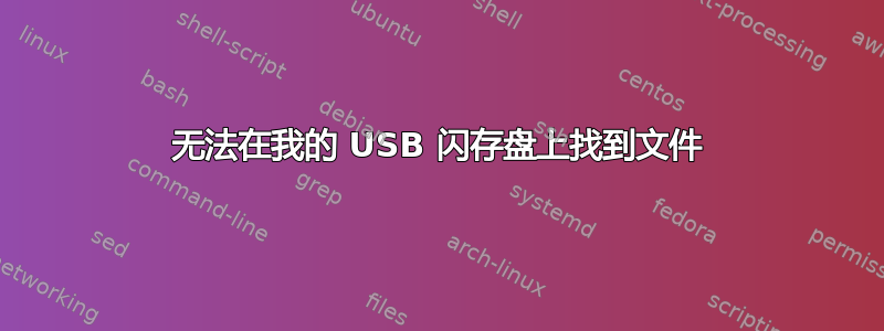 无法在我的 USB 闪存盘上找到文件