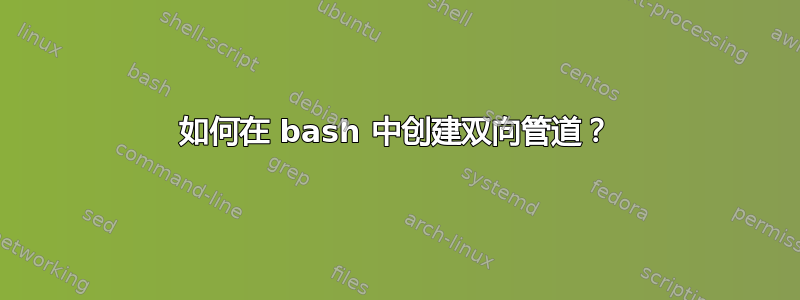 如何在 bash 中创建双向管道？