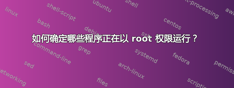 如何确定哪些程序正在以 root 权限运行？