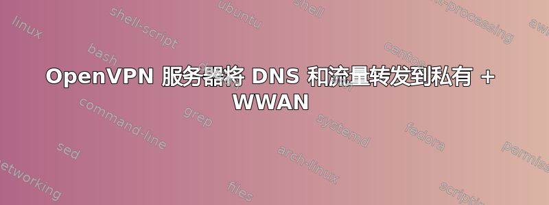 OpenVPN 服务器将 DNS 和流量转发到私有 + WWAN