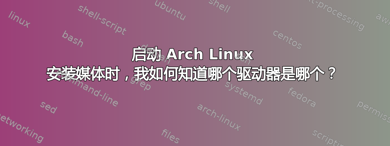 启动 Arch Linux 安装媒体时，我如何知道哪个驱动器是哪个？