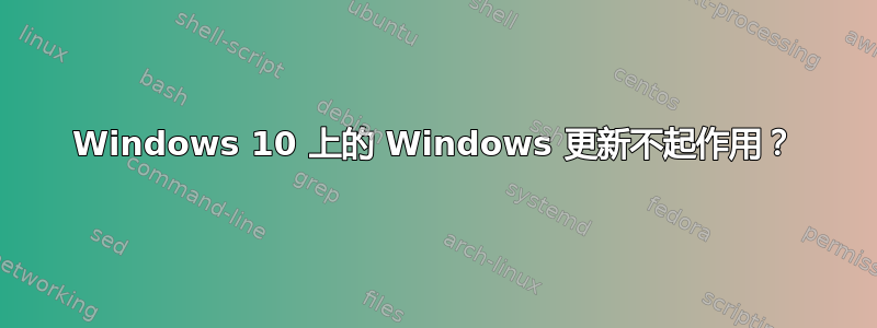 Windows 10 上的 Windows 更新不起作用？