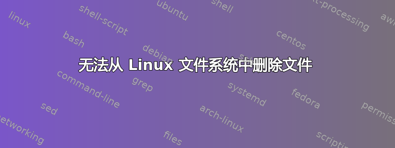 无法从 Linux 文件系统中删除文件