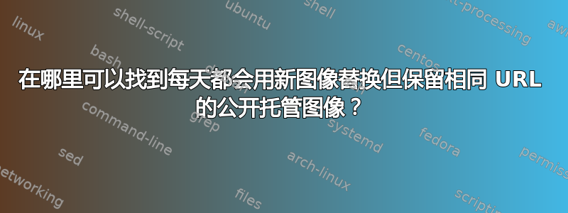 在哪里可以找到每天都会用新图像替换但保留相同 URL 的公开托管图像？