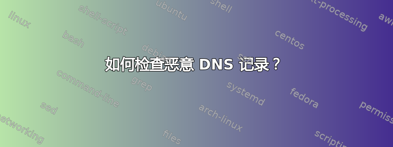 如何检查恶意 DNS 记录？