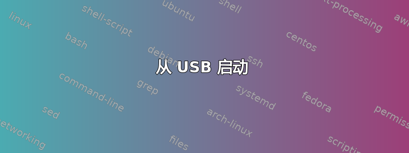 从 USB 启动