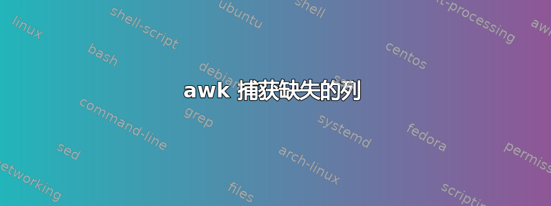 awk 捕获缺失的列