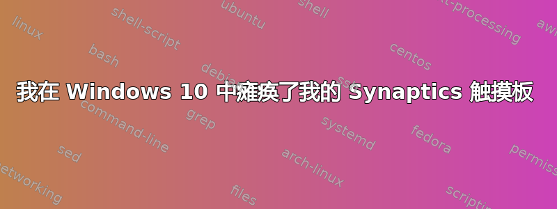 我在 Windows 10 中瘫痪了我的 Synaptics 触摸板