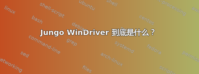 Jungo WinDriver 到底是什么？