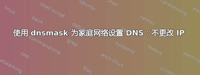 使用 dnsmask 为家庭网络设置 DNS：不更改 IP