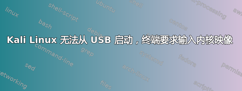 Kali Linux 无法从 USB 启动，终端要求输入内核映像