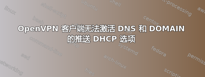 OpenVPN 客户端无法激活 DNS 和 DOMAIN 的推送 DHCP 选项