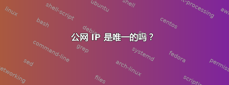 公网 IP 是唯一的吗？