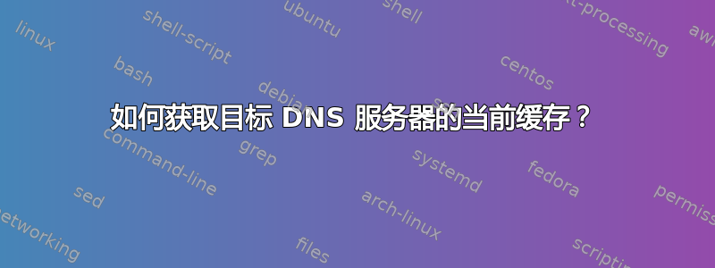 如何获取目标 DNS 服务器的当前缓存？