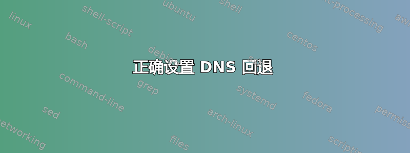 正确设置 DNS 回退