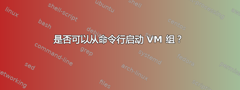 是否可以从命令行启动 VM 组？