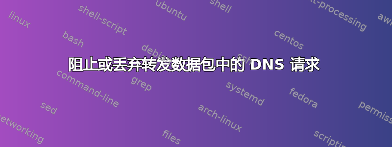 阻止或丢弃转发数据包中的 DNS 请求