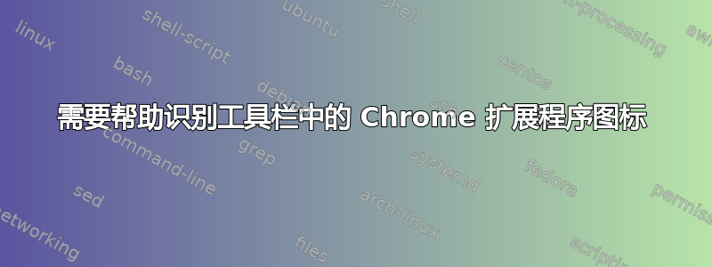 需要帮助识别工具栏中的 Chrome 扩展程序图标