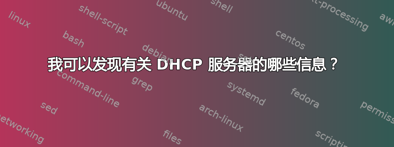 我可以发现有关 DHCP 服务器的哪些信息？