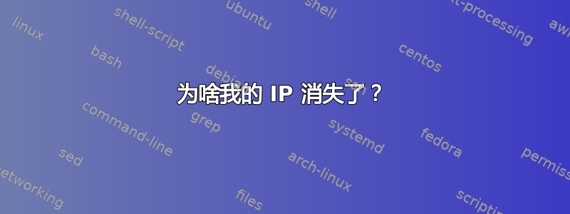 为啥我的 IP 消失了？