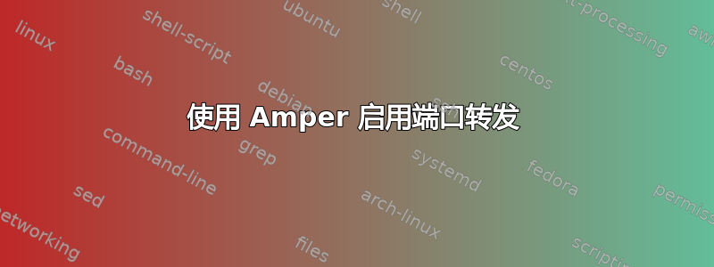 使用 Amper 启用端口转发