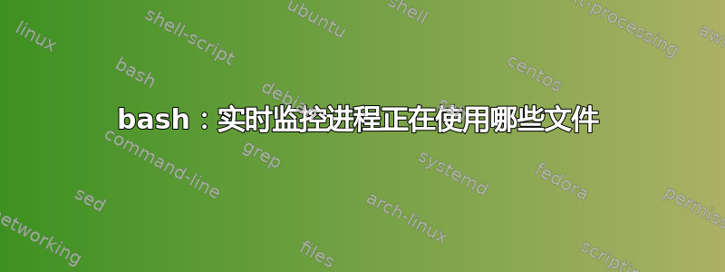 bash：实时监控进程正在使用哪些文件