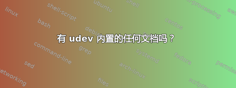 有 udev 内置的任何文档吗？