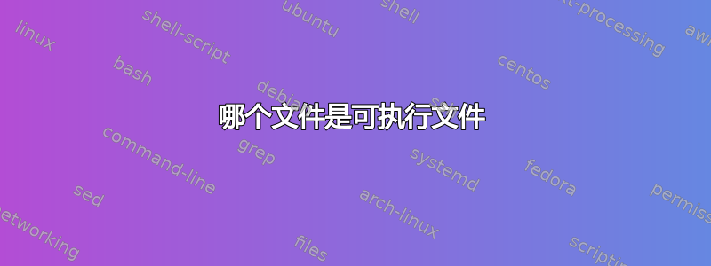 哪个文件是可执行文件