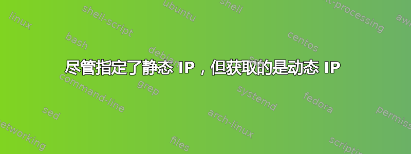 尽管指定了静态 IP，但获取的是动态 IP