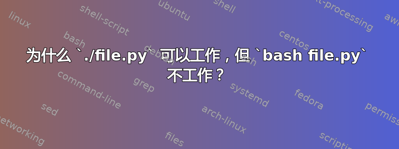 为什么 `./file.py` 可以工作，但 `bash file.py` 不工作？