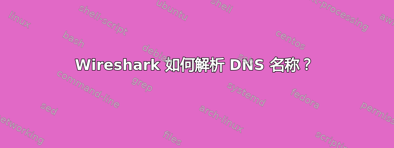 Wireshark 如何解析 DNS 名称？