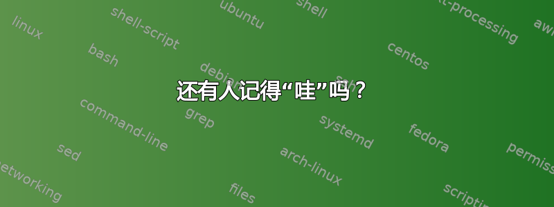 还有人记得“哇”吗？