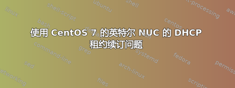 使用 CentOS 7 的英特尔 NUC 的 DHCP 租约续订问题