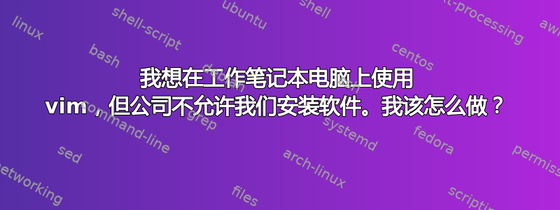 我想在工作笔记本电脑上使用 vim，但公司不允许我们安装软件。我该怎么做？