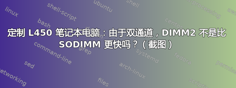 定制 L450 笔记本电脑：由于双通道，DIMM2 不是比 SODIMM 更快吗？（截图）