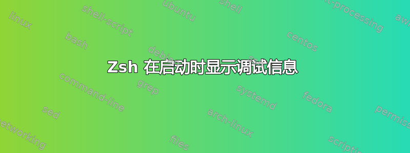 Zsh 在启动时显示调试信息