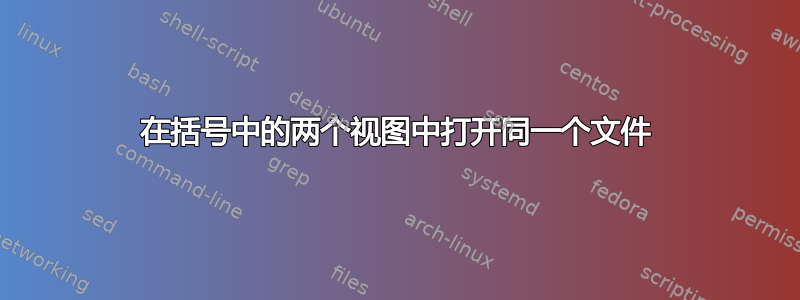 在括号中的两个视图中打开同一个文件