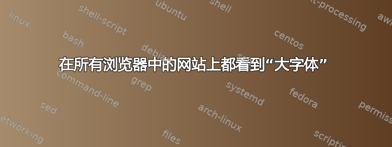 在所有浏览器中的网站上都看到“大字体”