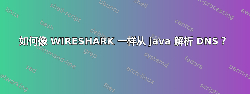 如何像 WIRESHARK 一样从 java 解析 DNS？