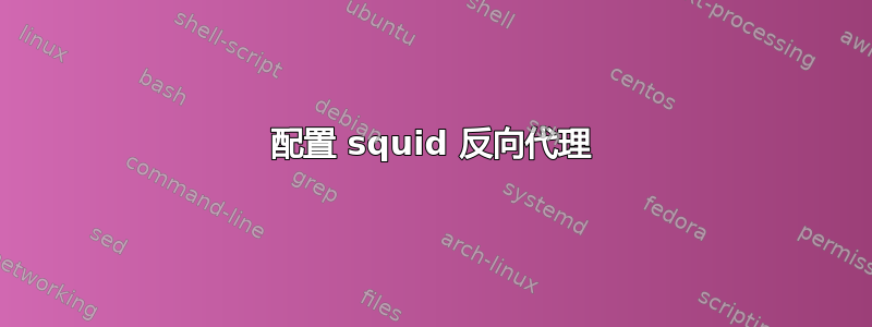 配置 squid 反向代理