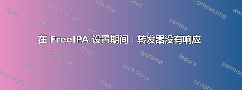 在 FreeIPA 设置期间：转发器没有响应