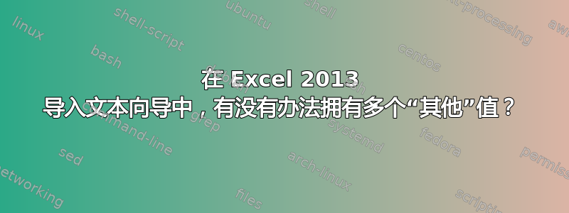 在 Excel 2013 导入文本向导中，有没有办法拥有多个“其他”值？